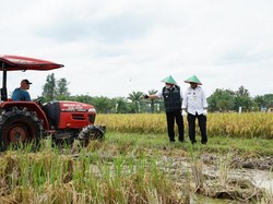 Cara Sumsel Genjot Hasil Pertanian untuk Jadi Lumbung Pangan Nasional