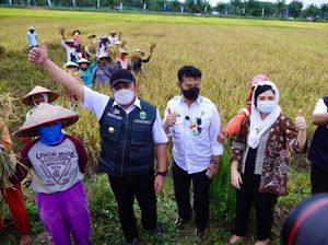 Pemprov Sumsel Siap Jadi Lumbung Pangan Nasional