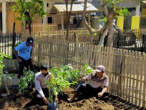 Manfaatkan Lahan Kosong, Polres Bima Ajak Warga Tanam Cabai Manfaatkan Lahan Kosong, Polres Bima Ajak Warga Tanam Cabai