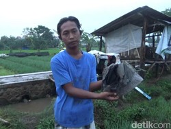 Tiga Petani di Kota Probolinggo Tersambar Petir, Satu Orang Tewas