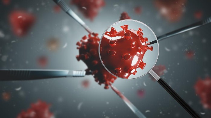 Corona virus under magnifying glass. Observation made by virologists in the laboratory with microscope.  Red heart shaped coronavirus being mutated through genome modification. 3D rendering.
