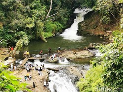 Segarnya Curug Layung, Keindahan di Tengah Hutan Pinus