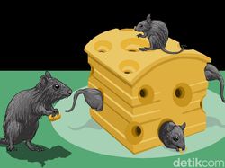 Dear detiks Advocate, Berapa Masa Kedaluwarsa Korupsi Gratifikasi?