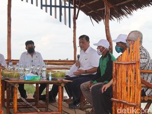 Luhut Cek Lumbung Pangan Kalteng, 29 Ribu Ha Lahan Sudah Ditanami Luhut Cek Lumbung Pangan Kalteng, 29 Ribu Ha Lahan Sudah Ditanami