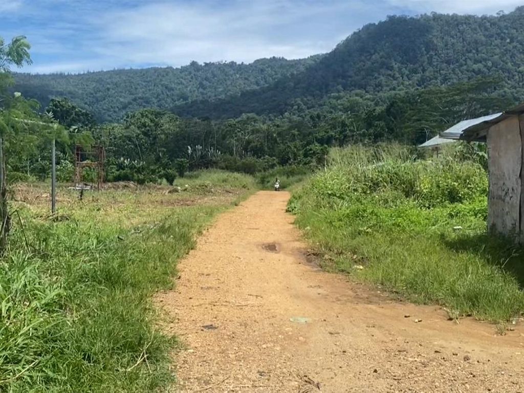 Perbatasan Resmi Papua Nugini-RI Ditutup, Jalan Tikus Buka Terus