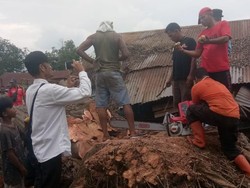 Pohon Tumbang Berdiri Lagi di Sumut yang Makan Korban Akhirnya Ditebang