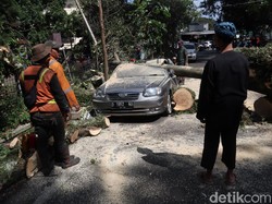Pohon Tumbang Timpa Mobil di Bandung, 2 Orang Selamat