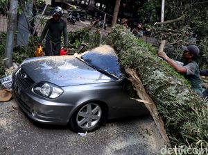 2 Mobil Ringsek Tertimpa Pohon Tumbang di Bandung