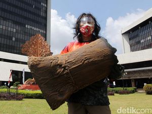 Bawa Bonggol Pohon, Aktivis Lingkungan Tolak Pengrusakan Hutan Bawa Bonggol Pohon, Aktivis Lingkungan Tolak Pengrusakan Hutan