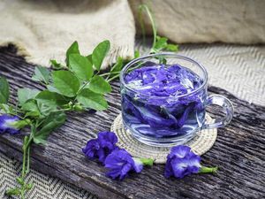 5 Racikan Infused Water Berbahan Bunga yang Kaya Manfaat