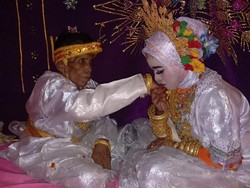 Pernikahan Kakek 58 Tahun-Gadis di Bone, Cinta Bersemi di Kebun Cokelat