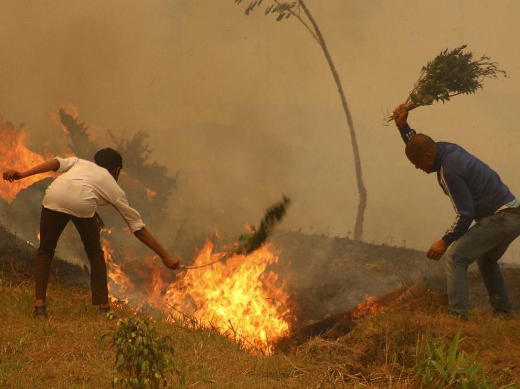 Nepal Dilanda Kebakaran Hutan Terburuk dalam Satu Dekade Terakhir