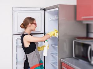 Persiapan Puasa, Ini Cara Membersihkan Kulkas Agar Bebas Noda dan Bau Persiapan Puasa, Ini Cara Membersihkan Kulkas Agar Bebas Noda dan Bau