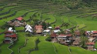 Foto Sawah Kuno yang Jadi Keajaiban UNESCO di Filipina