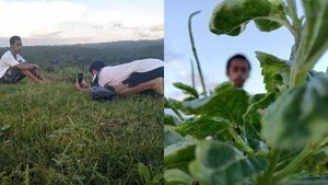 8 Potret Konyol Netizen Mencoba Estetik, Hasilnya Sungguh Menakjubkan