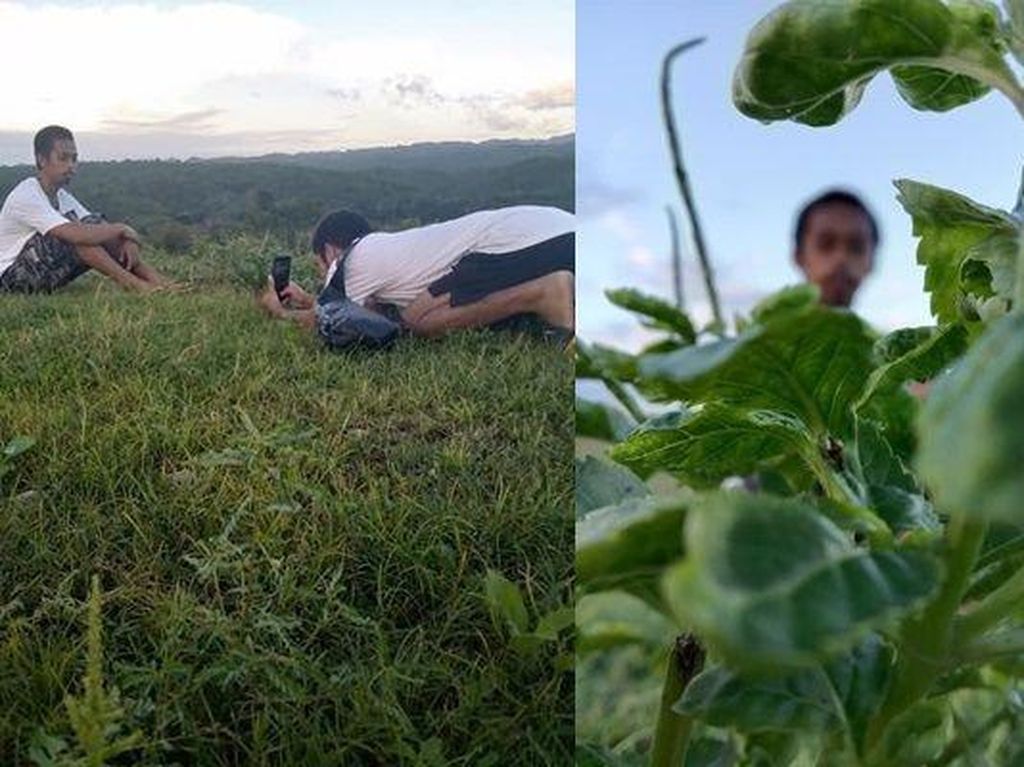 8 Potret Konyol Netizen Mencoba Estetik, Hasilnya Sungguh Menakjubkan 8 Potret Konyol Netizen Mencoba Estetik, Hasilnya Sungguh Menakjubkan