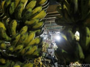 Jelang Ramadhan, Permintaan Pisang di Pasar Kramat Jati Meningkat Jelang Ramadhan, Permintaan Pisang di Pasar Kramat Jati Meningkat