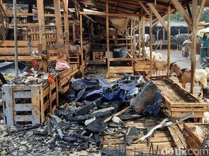 Sejumlah Pedagang Jualan Lagi Usai Kebakaran di Pasar Kambing Jakpus