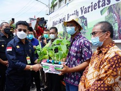 Mentan Dorong Masyarakat Sumbar Genjot Produktivitas Pertanian
