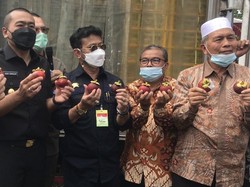 Mentan Lepas Ekspor 14 Produk Pertanian Sumber, Nilainya Rp 298 M