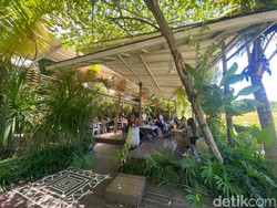 Lezat dan Sehat! Menyantap Rendang Tempe di Tepian Sawah Asri