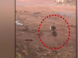 Miris! Kelaparan, Bocah Ini Jilati Piring Kotor dari Tempat Sampah