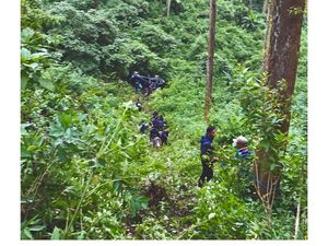 Mobil Kru Jordi Onsu Kecelakaan Masuk Jurang di Malang