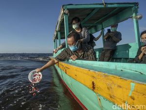 Momen Melepas Abu Jenazah di Laut Jakarta