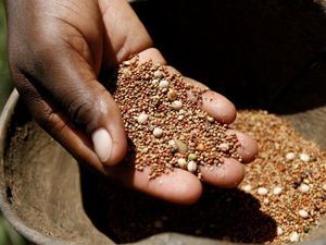 Monopoli Benih, Siapa yang Mengontrol Pasokan Pangan Dunia?