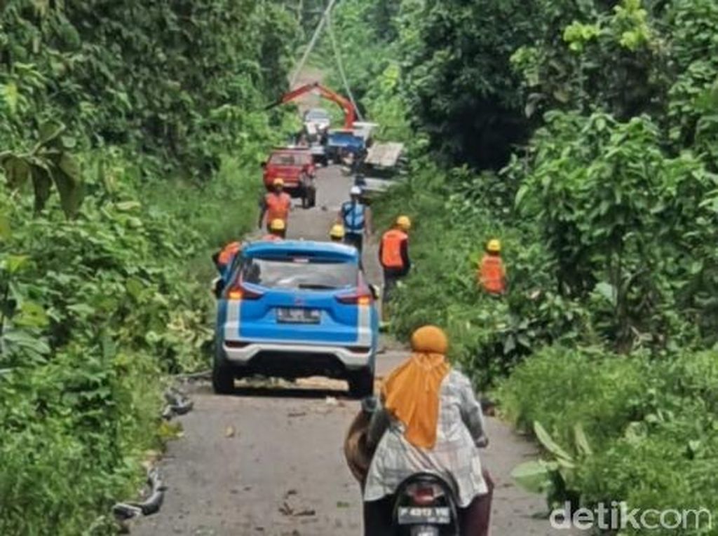 Hore! TN Alas Purwo Kembali Dibuka, Listrik Pun Sudah Menyala Hore! TN Alas Purwo Kembali Dibuka, Listrik Pun Sudah Menyala