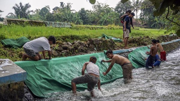 Potret Tradisi Mencuci Karpet Masjid Jelang Ramadhan
