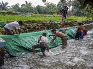 Potret Tradisi Mencuci Karpet Masjid Jelang Ramadhan