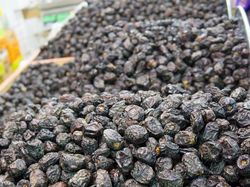 Video: Melihat Kebun Kurma Ajwa Organik di Madinah