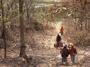 Hindari Junta Militer, Warga Myanmar Ngungsi ke India Menyusuri Jalur Setapak