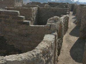 Kota Emas Berusia 3.000 Tahun Jadi Temuan Terpenting Usai Makam Tutankhamun Kota Emas Berusia 3.000 Tahun Jadi Temuan Terpenting Usai Makam Tutankhamun