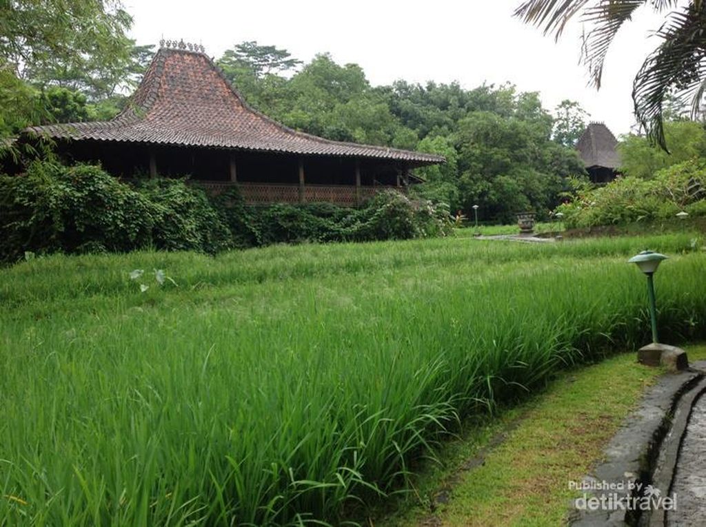 Foto: Rekomendasi Villa Cantik Tepi Sawah di Ungaran