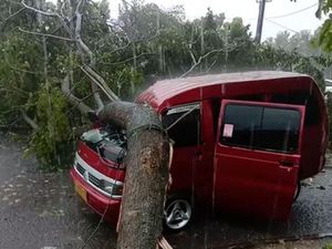 Angin Kencang Terjang Banjar, Mobil Tertimpa Pohon Tumbang