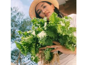 Potret Atiqah Hasiholan dan Sang Putri saat Panen Sayuran di Kebun Potret Atiqah Hasiholan dan Sang Putri saat Panen Sayuran di Kebun