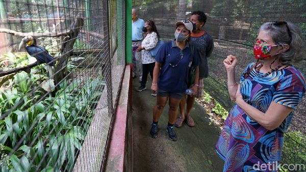 Potret Bule Galang Dana Demi Beli Pakan Hewan TSTJ Solo