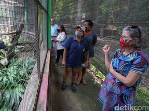 Potret Bule Galang Dana Demi Beli Pakan Hewan TSTJ Solo Potret Bule Galang Dana Demi Beli Pakan Hewan TSTJ Solo