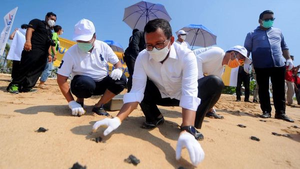 Lestarikan Lingkungan dengan Konservasi Terumbu Karang-Pelepasan Tukik
