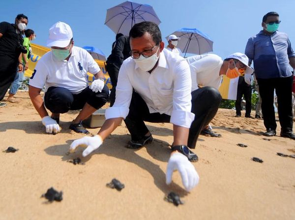 Lestarikan Lingkungan dengan Konservasi Terumbu Karang-Pelepasan Tukik