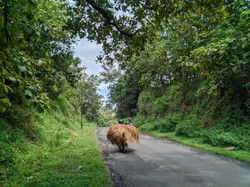 Mitos Gunung Pegat Ponorogo Dipercaya Bisa Bikin Cerai Pengantin Baru