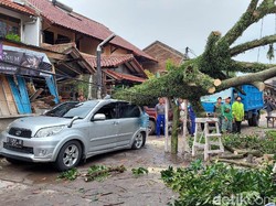 Hujan Disertai Angin Kencang di Bandung, Pohon Tumbang Timpa Mobil