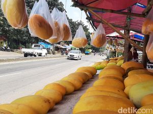 Timun Suri: Manfaat Sehat, Cara Pilih hingga Resep Buah Khas Ramadhan Ini Timun Suri: Manfaat Sehat, Cara Pilih hingga Resep Buah Khas Ramadhan Ini