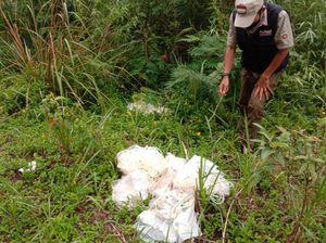 Duh! Sampah Medis Dibuang Sembarangan di Pinggir Jalan Sukabumi-Cianjur