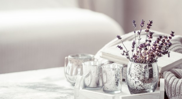 Lavender sebagai pilihan tanaman yang cocok ditaruh di dalam kamar.