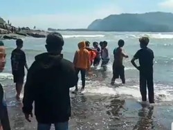 2 Orang Tergulung Ombak di Pantai Jember, Ayahnya Tewas, Anak Dalam Pencarian