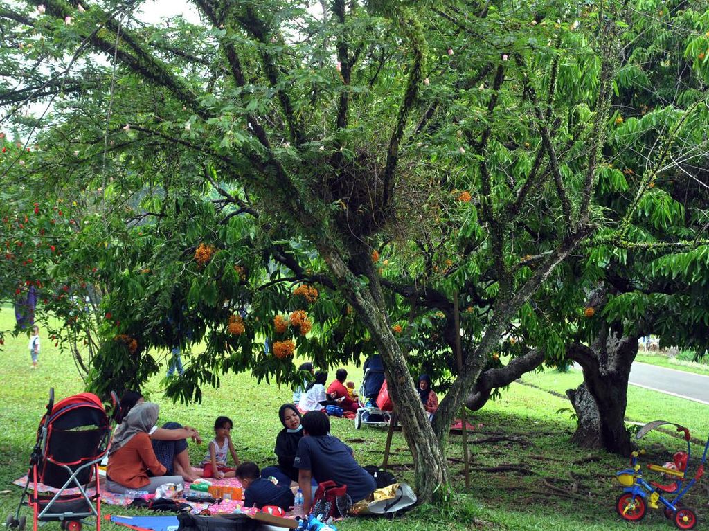 PPKM Dimulai, Kebun Raya Bogor Tutup Sampai 20 Juli PPKM Dimulai, Kebun Raya Bogor Tutup Sampai 20 Juli