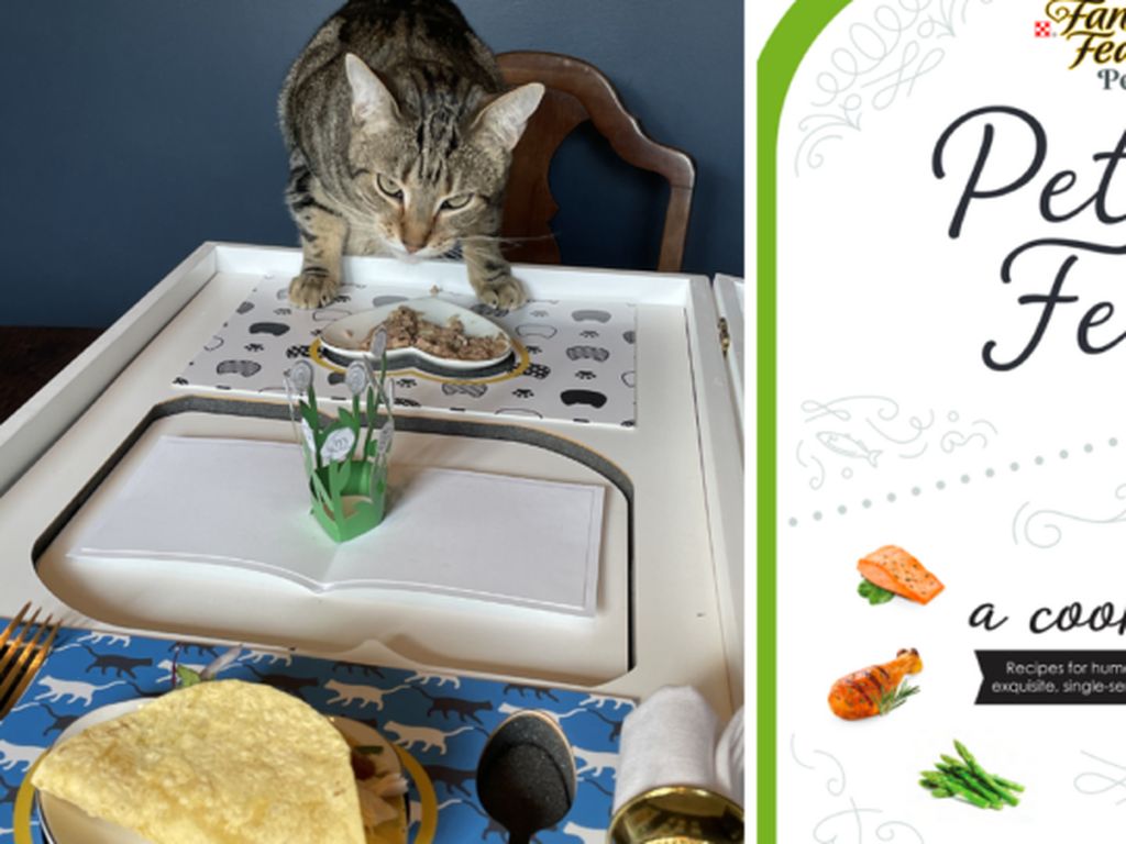 Unik! Tiga Chef Ini Ciptakan Buku Resep Terinspirasi Makanan Kucing